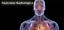 Anatomia Escola Guaicuru